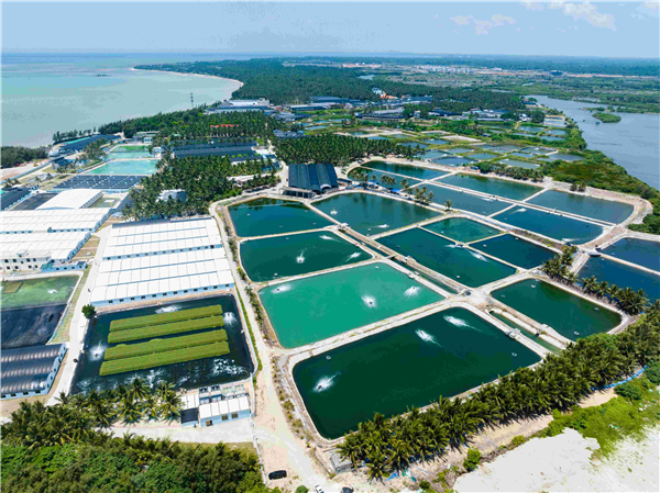 Aquaculture