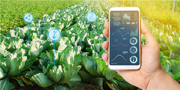 Agricultural Automation