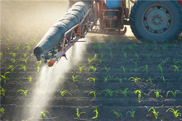 Crop Breeding And Research