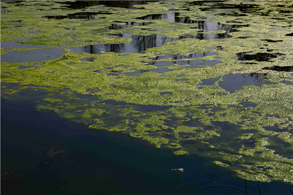Water Quality Monitoring