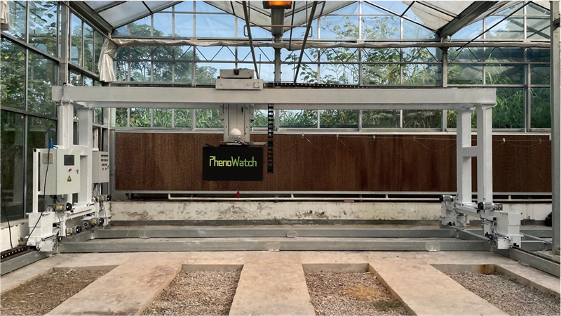 High-throughput Plant Phenotyping System——PhenoWatch