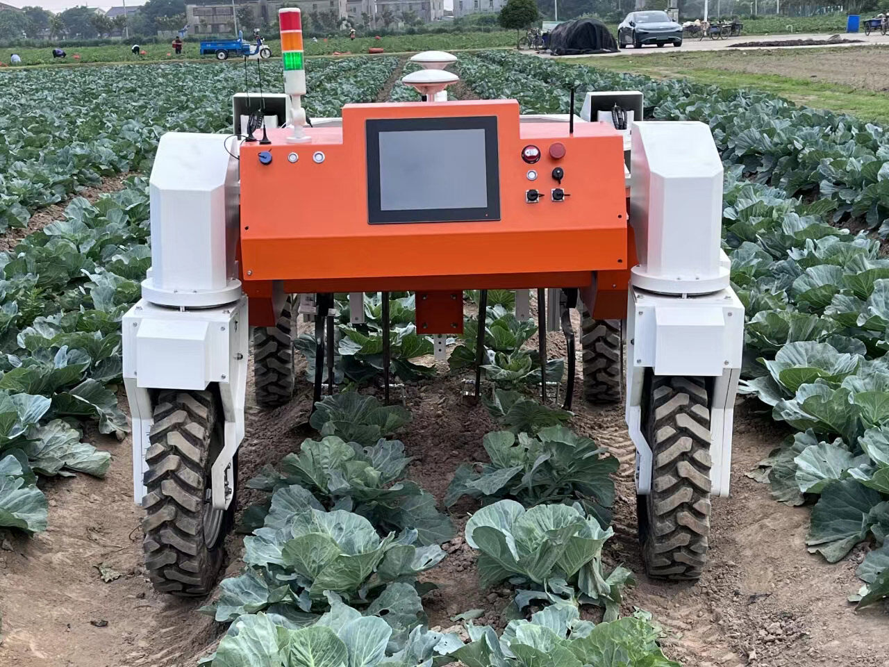 Field High-clearance Inspection/Weeding Robot