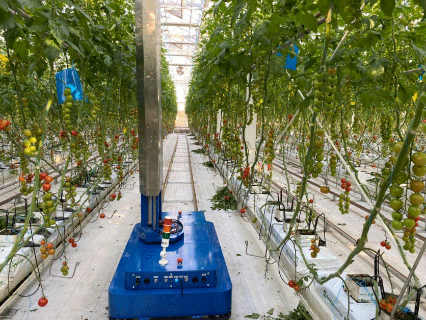 Greenhouse Inspection UGV