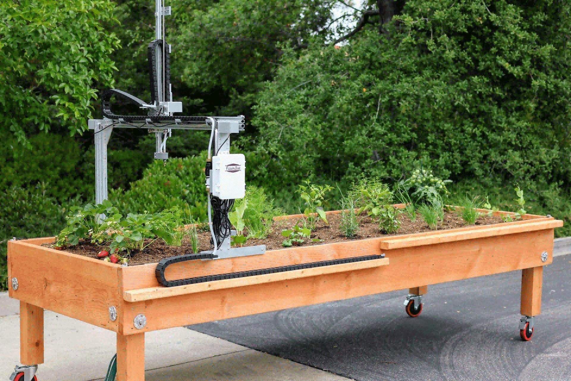 Intelligent Agriculture Crop Planting Teaching Robot
