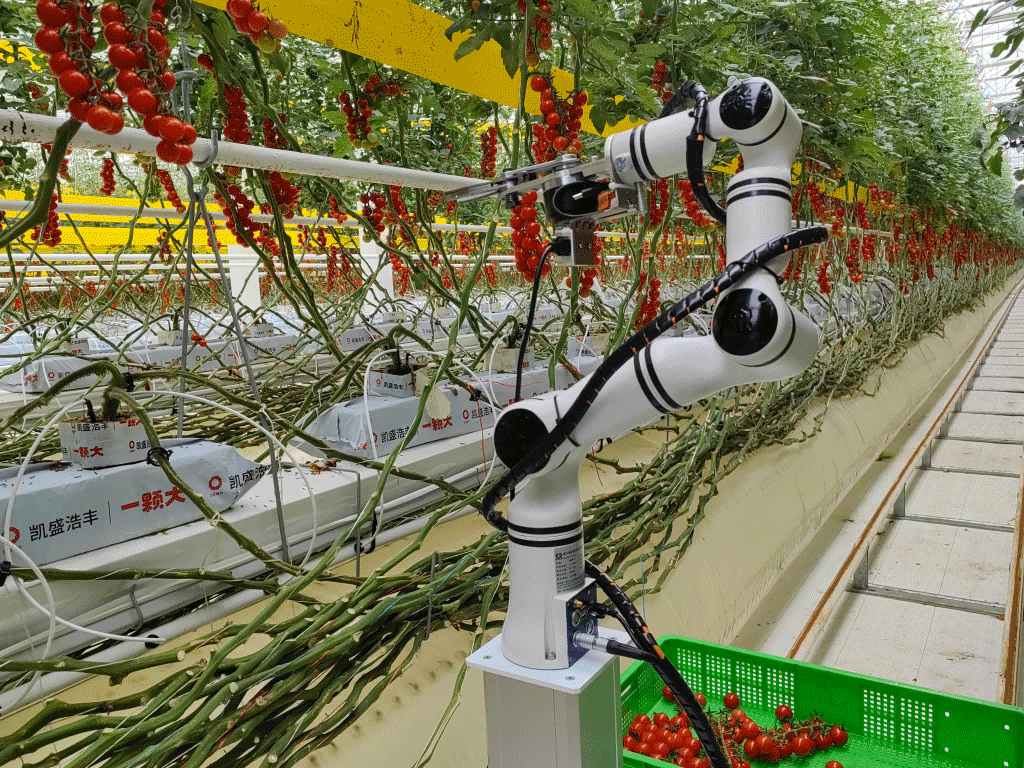 Intelligent Picking UGV (Track-type)