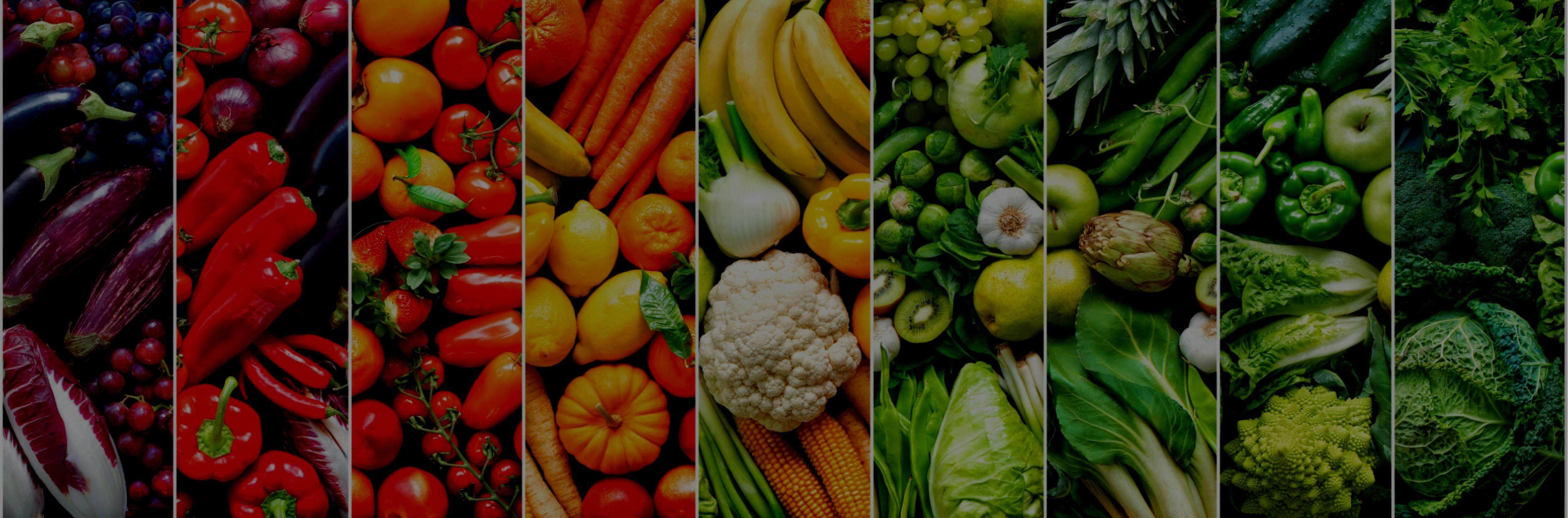 F-751 Melon Quality Meter