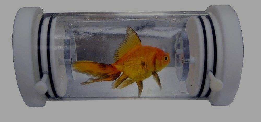Q-Box AQUA Aquatic Respiration