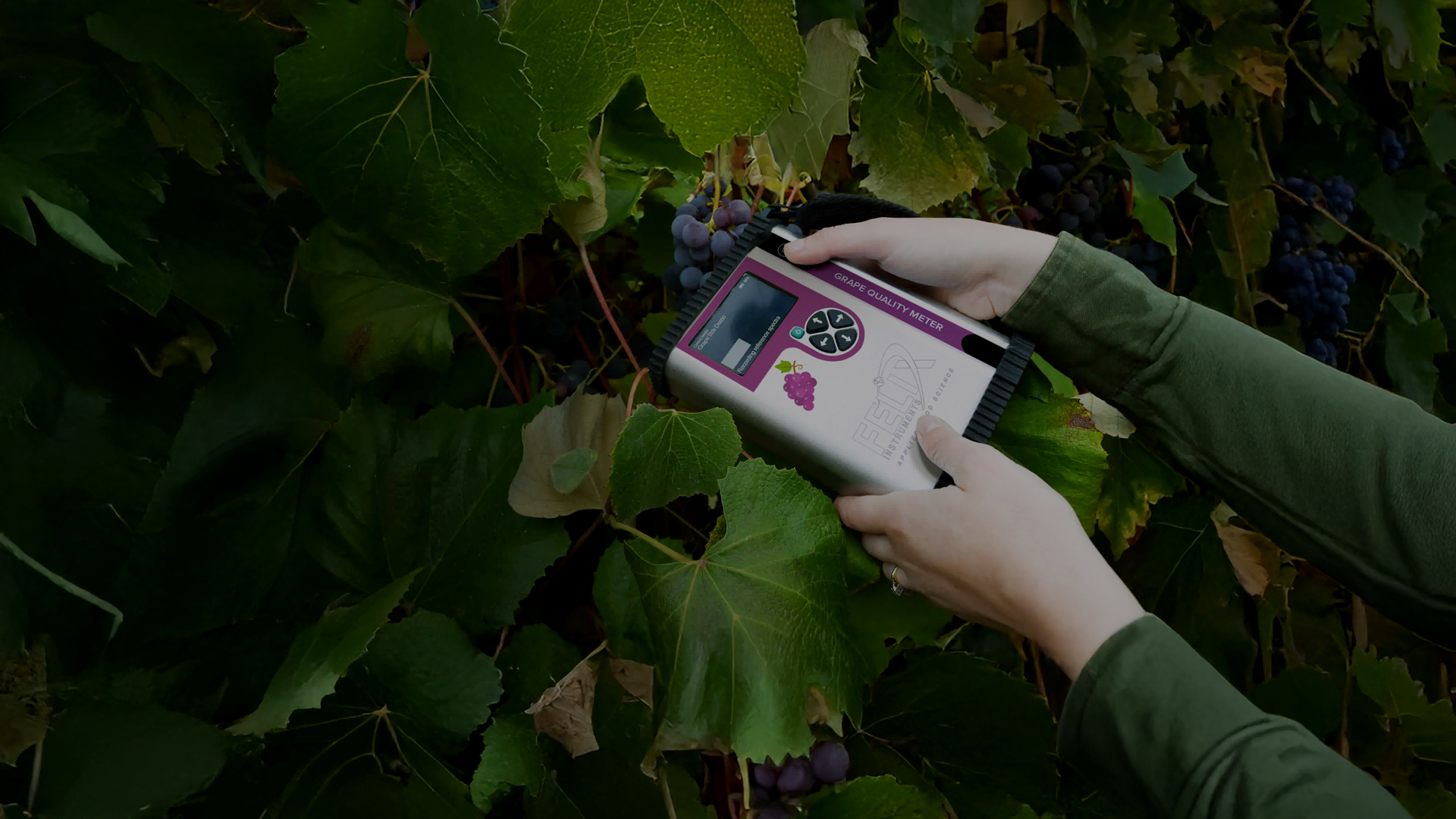 F-751 Grape Quality Meter