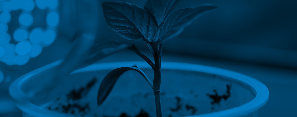 PhenoAIxpert Pro