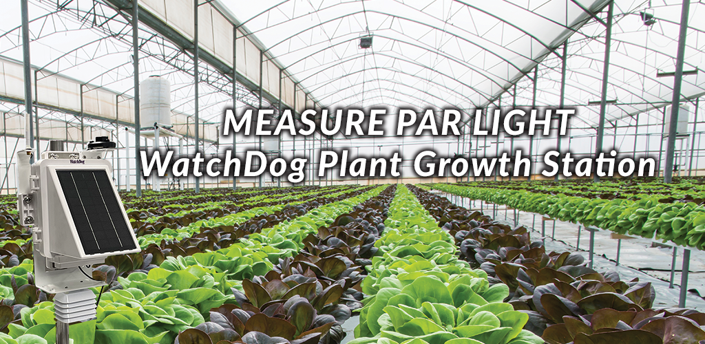 3000 Series - Watchdog 