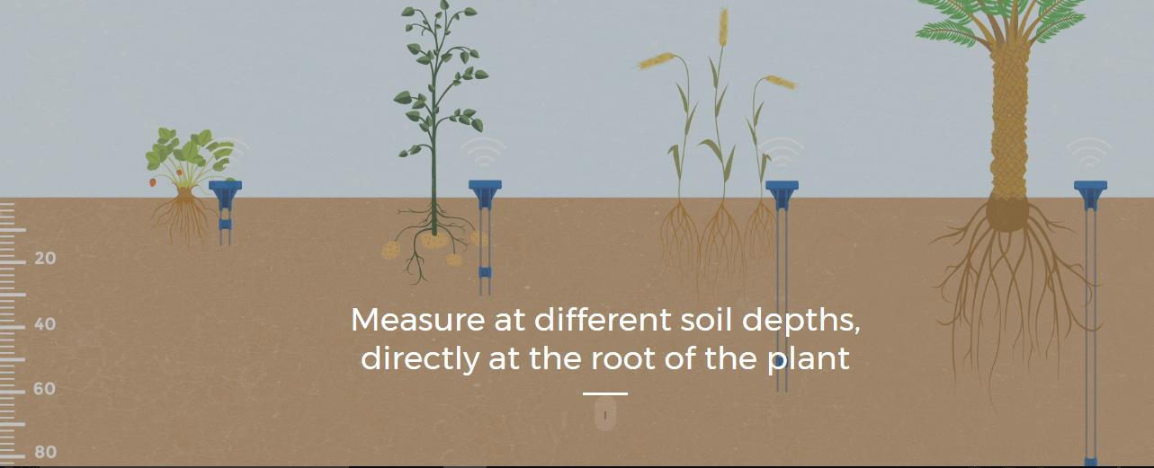 Sensoterra - Single Depth Soil Moisture Sensor