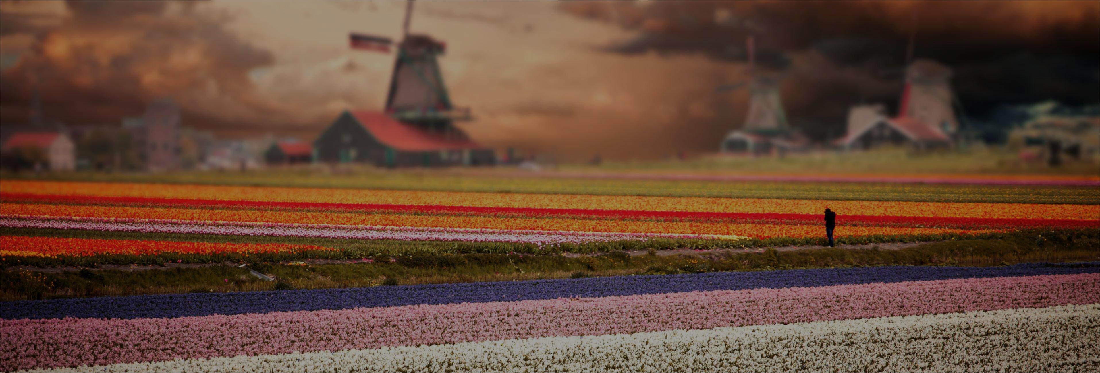 AMPHA Z40 POLLEN ANALYZER