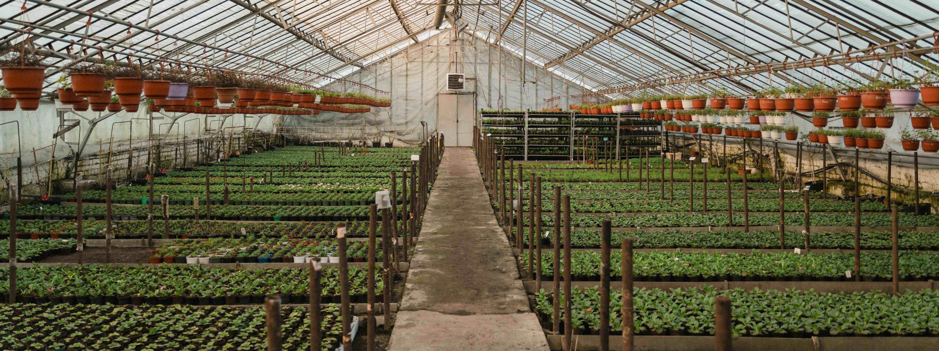 PLS-10R - Distributed Plant Photosynthetic Physiology and Environmental Monitoring System