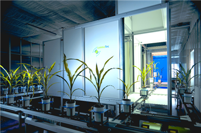 PhenoAIxpert HT
